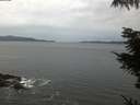 ./images/koeye/fitz-hugh/20211025/fitz-hugh20211025_080002.jpg