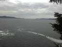 ./images/koeye/fitz-hugh/20211025/fitz-hugh20211025_160001.jpg