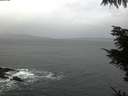 ./images/koeye/fitz-hugh/20211026/fitz-hugh20211026_080002.jpg