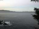 ./images/koeye/fitz-hugh/20211030/fitz-hugh20211030_080002.jpg