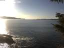 ./images/koeye/fitz-hugh/20211030/fitz-hugh20211030_160002.jpg
