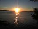 ./images/koeye/fitz-hugh/20211030/fitz-hugh20211030_180001.jpg