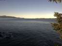 ./images/koeye/fitz-hugh/20211031/fitz-hugh20211031_100001.jpg
