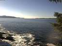 ./images/koeye/fitz-hugh/20211031/fitz-hugh20211031_140002.jpg