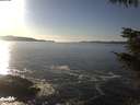 ./images/koeye/fitz-hugh/20211031/fitz-hugh20211031_160001.jpg