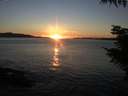 ./images/koeye/fitz-hugh/20211031/fitz-hugh20211031_180002.jpg