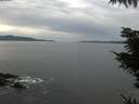 ./images/koeye/fitz-hugh/20211101/fitz-hugh20211101_140001.jpg
