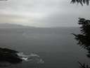 ./images/koeye/fitz-hugh/20211101/fitz-hugh20211101_180002.jpg