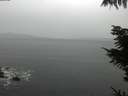 ./images/koeye/fitz-hugh/20211102/fitz-hugh20211102_140001.jpg