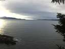 ./images/koeye/fitz-hugh/20211102/fitz-hugh20211102_160002.jpg