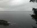 ./images/koeye/fitz-hugh/20211103/fitz-hugh20211103_080002.jpg