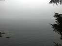 ./images/koeye/fitz-hugh/20211103/fitz-hugh20211103_100002.jpg