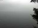 ./images/koeye/fitz-hugh/20211103/fitz-hugh20211103_120001.jpg