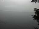 ./images/koeye/fitz-hugh/20211103/fitz-hugh20211103_140002.jpg