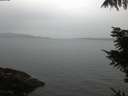 ./images/koeye/fitz-hugh/20211103/fitz-hugh20211103_180001.jpg