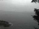 ./images/koeye/fitz-hugh/20211104/fitz-hugh20211104_080002.jpg
