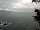 ./images/koeye/fitz-hugh/20211104/fitz-hugh20211104_100001.jpg