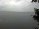 ./images/koeye/fitz-hugh/20211104/fitz-hugh20211104_140002.jpg