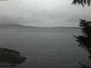 ./images/koeye/fitz-hugh/20211105/fitz-hugh20211105_080001.jpg