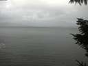./images/koeye/fitz-hugh/20211105/fitz-hugh20211105_120002.jpg