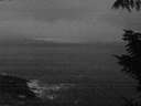 ./images/koeye/fitz-hugh/20211106/fitz-hugh20211106_080001.jpg