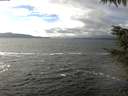 ./images/koeye/fitz-hugh/20211106/fitz-hugh20211106_140002.jpg