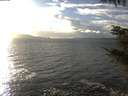 ./images/koeye/fitz-hugh/20211106/fitz-hugh20211106_160002.jpg