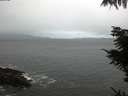 ./images/koeye/fitz-hugh/20211107/fitz-hugh20211107_080001.jpg