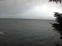 ./images/koeye/fitz-hugh/20211107/fitz-hugh20211107_160002.jpg