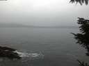 ./images/koeye/fitz-hugh/20211108/fitz-hugh20211108_080001.jpg