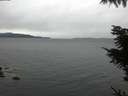 ./images/koeye/fitz-hugh/20211108/fitz-hugh20211108_120001.jpg
