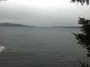 ./images/koeye/fitz-hugh/20211108/fitz-hugh20211108_140001.jpg