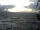 ./images/koeye/fitz-hugh/20211109/fitz-hugh20211109_160002.jpg
