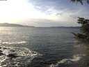 ./images/koeye/fitz-hugh/20211110/fitz-hugh20211110_140002.jpg