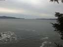 ./images/koeye/fitz-hugh/20211110/fitz-hugh20211110_160002.jpg