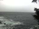 ./images/koeye/fitz-hugh/20211112/fitz-hugh20211112_095501.jpg