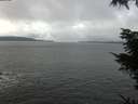 ./images/koeye/fitz-hugh/20211114/fitz-hugh20211114_104001.jpg