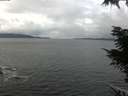 ./images/koeye/fitz-hugh/20211114/fitz-hugh20211114_104501.jpg