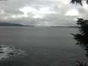 ./images/koeye/fitz-hugh/20211114/fitz-hugh20211114_105001.jpg