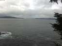 ./images/koeye/fitz-hugh/20211114/fitz-hugh20211114_105501.jpg