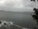 ./images/koeye/fitz-hugh/20211114/fitz-hugh20211114_114002.jpg