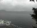 ./images/koeye/fitz-hugh/20211114/fitz-hugh20211114_114502.jpg