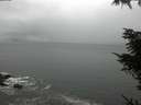 ./images/koeye/fitz-hugh/20211114/fitz-hugh20211114_115002.jpg