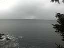 ./images/koeye/fitz-hugh/20211114/fitz-hugh20211114_115502.jpg