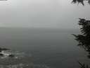 ./images/koeye/fitz-hugh/20211114/fitz-hugh20211114_120002.jpg