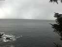 ./images/koeye/fitz-hugh/20211114/fitz-hugh20211114_120502.jpg