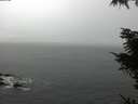 ./images/koeye/fitz-hugh/20211114/fitz-hugh20211114_121002.jpg