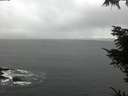 ./images/koeye/fitz-hugh/20211114/fitz-hugh20211114_122502.jpg