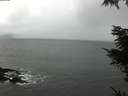 ./images/koeye/fitz-hugh/20211114/fitz-hugh20211114_124501.jpg