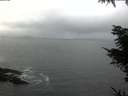 ./images/koeye/fitz-hugh/20211114/fitz-hugh20211114_130001.jpg